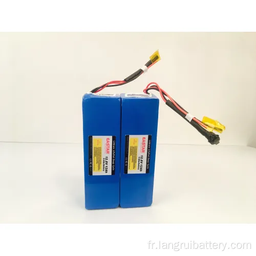 Prix ​​d'usine 12V 12Ah Batterie au lithium pour l'électrocar